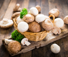 conserver les champignons