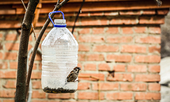 Cr&eacute;er une mangeoire &agrave; oiseaux avec une bouteille